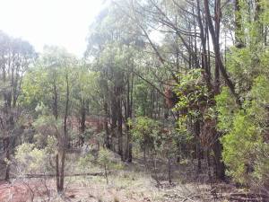 13184743_10208371407074817_1749531028_o