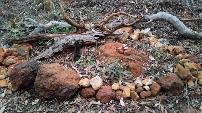 13199564_10208371334192995_838446704_o